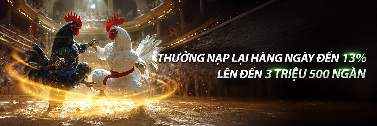 Hình ảnh đại diện cho Điều Khoản Dịch Vụ SA88 Nổ Hũ